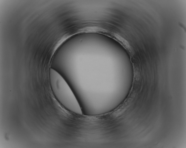 X0000092011473200709061259