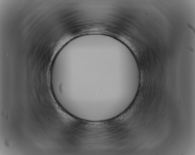 X0000092011474200709061259