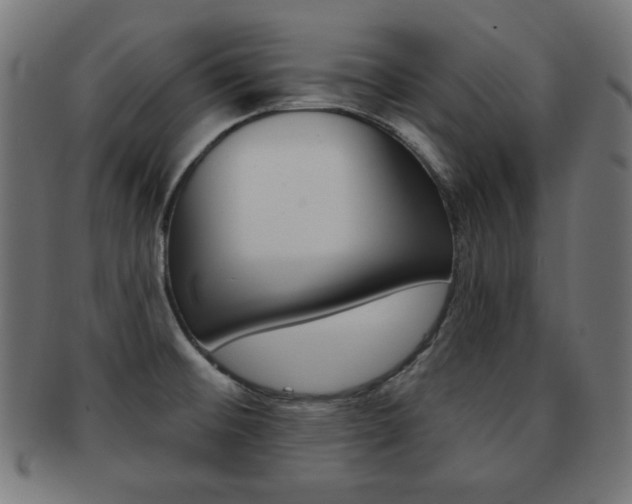 X0000092011476200709061258