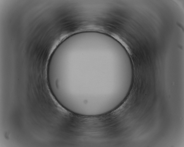 X0000092011477200709061258