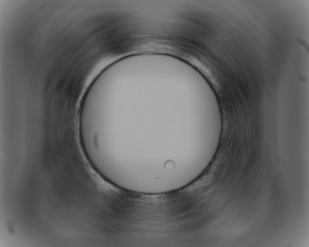 X0000092011478200709061258