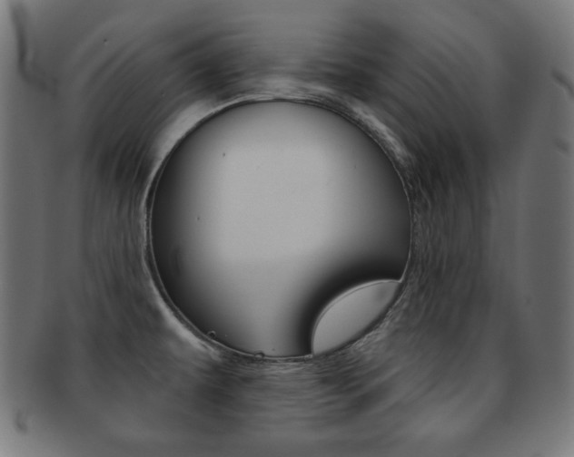 X0000092011479200709061258