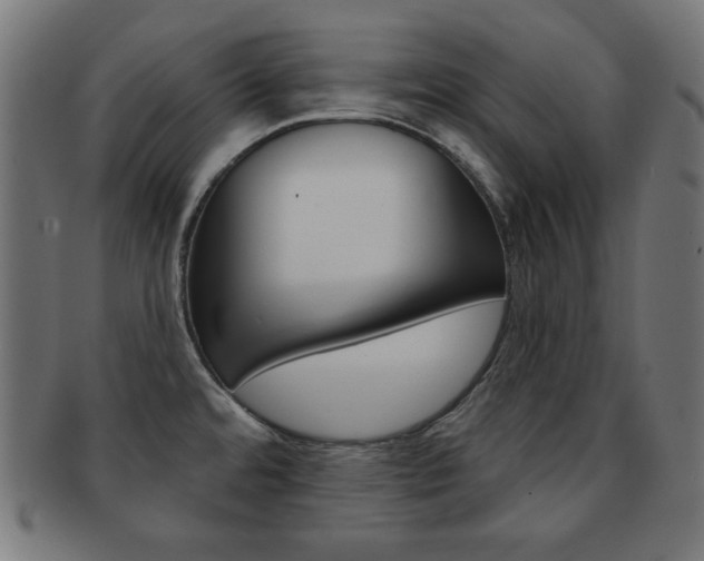 X0000092011480200709061258