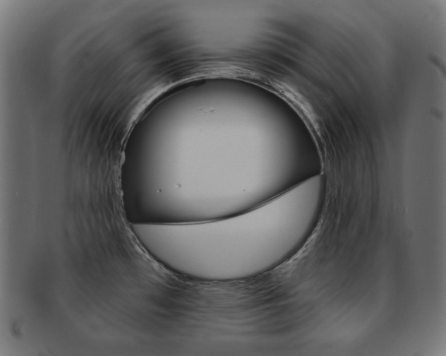 X0000092011481200709061258