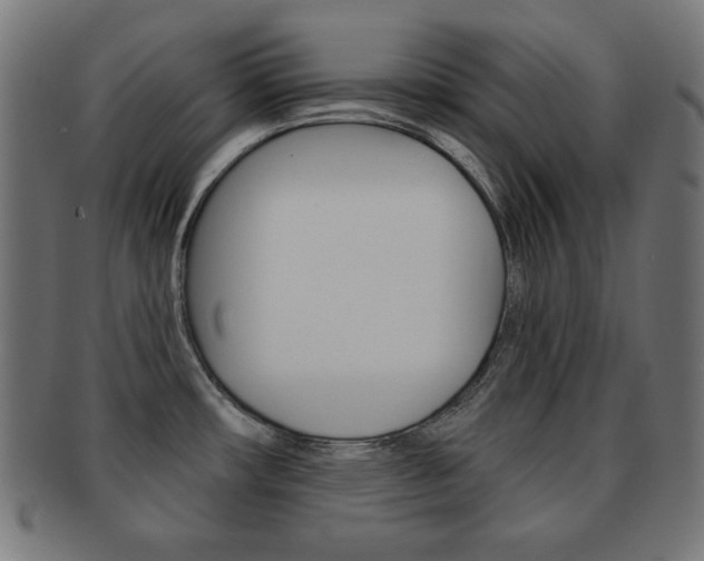 X0000092011482200709061258