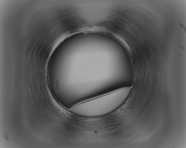 X0000092011483200709061258