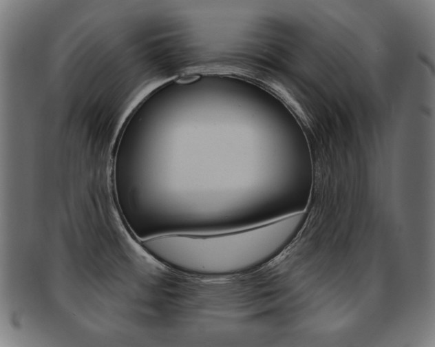 X0000092011484200709061258