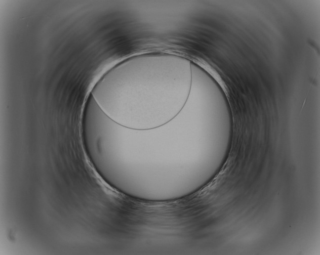 X0000092011485200709061258