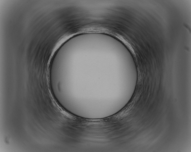 X0000092011486200709061258