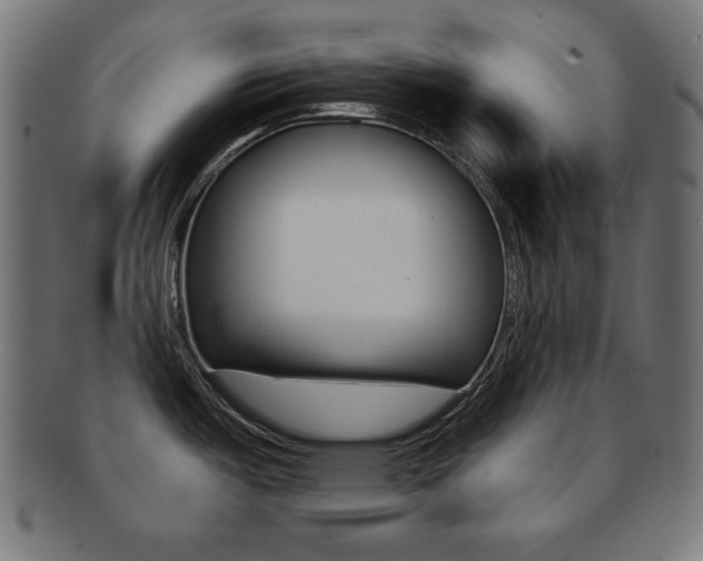 X0000092011487200709061258