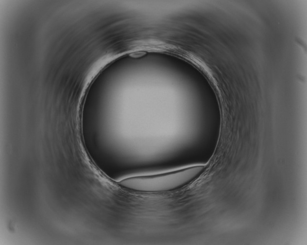 X0000092011488200709061258