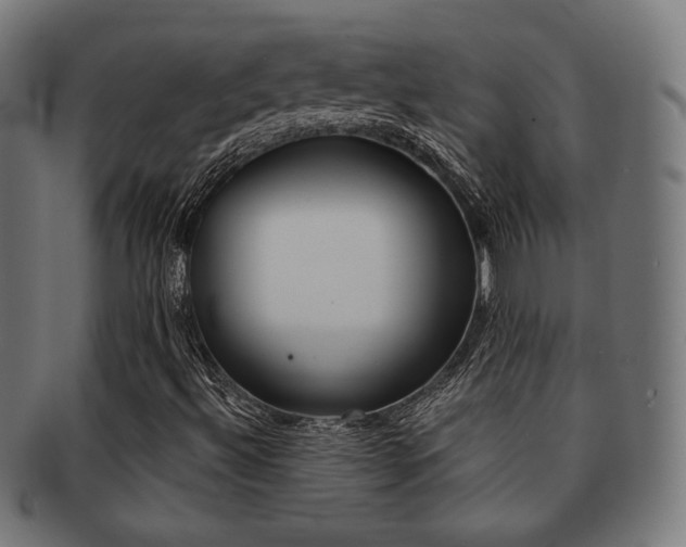 X0000092011492200709061258