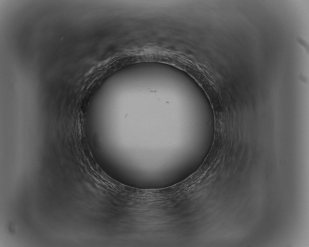 X0000092011493200709061258