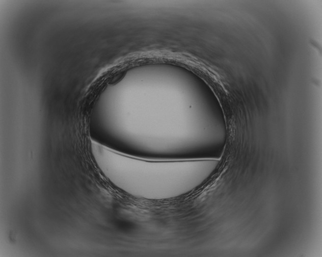 X0000092011494200709061258
