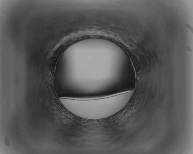 X0000092011495200709061258