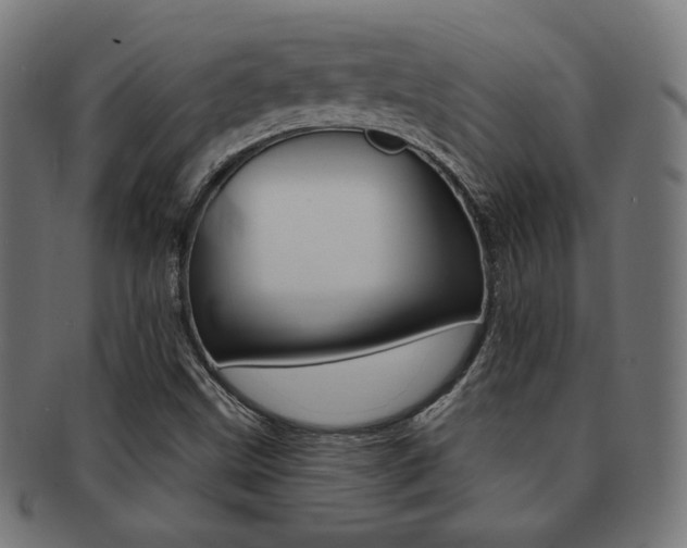 X0000092011499200709061258