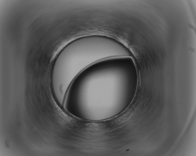 X0000092011500200709061258