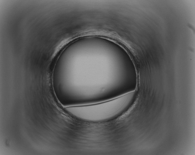 X0000092011501200709061258