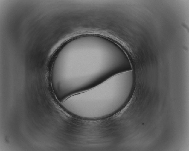 X0000092011502200709061258