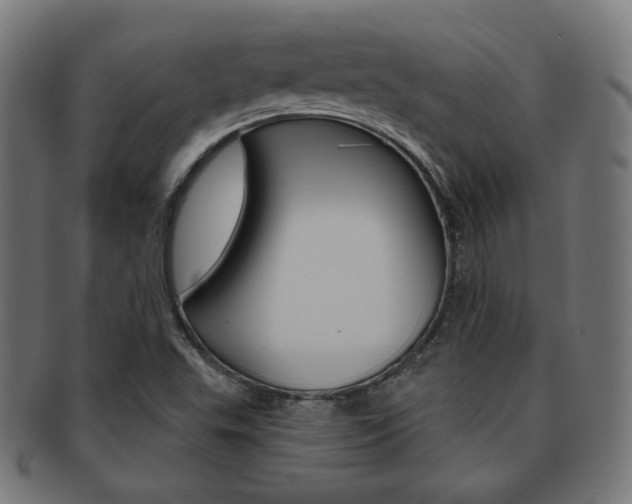 X0000092011503200709061258