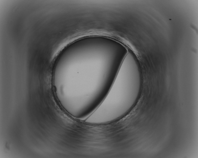 X0000092011504200709061258