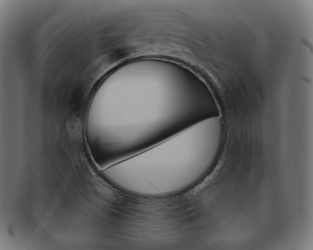X0000092011505200709061258
