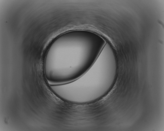 X0000092011506200709061258