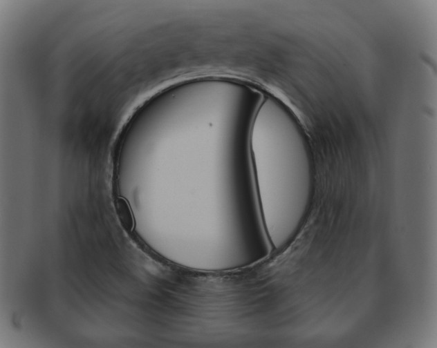 X0000092011508200709061258