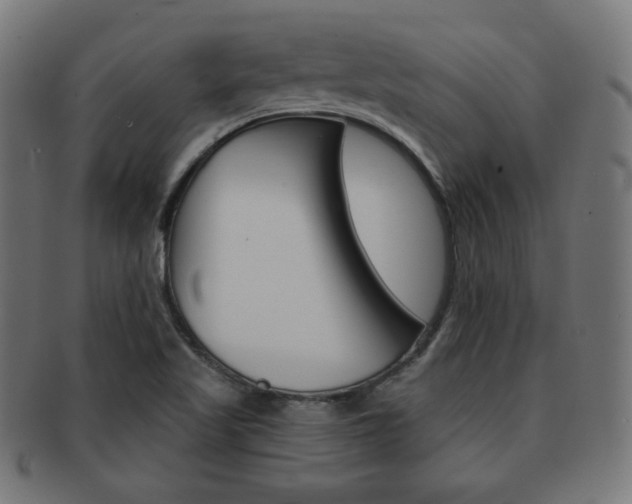 X0000092011509200709061258