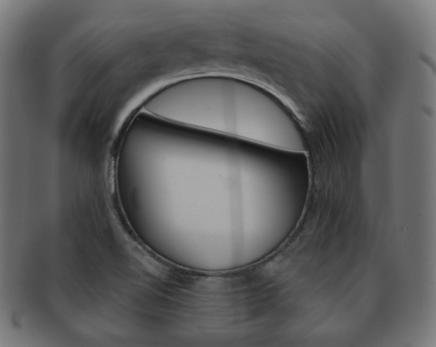 X0000092011510200709061258