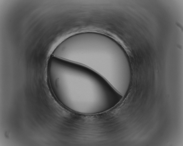 X0000092011512200709061258