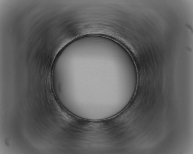 X0000092011513200709061258