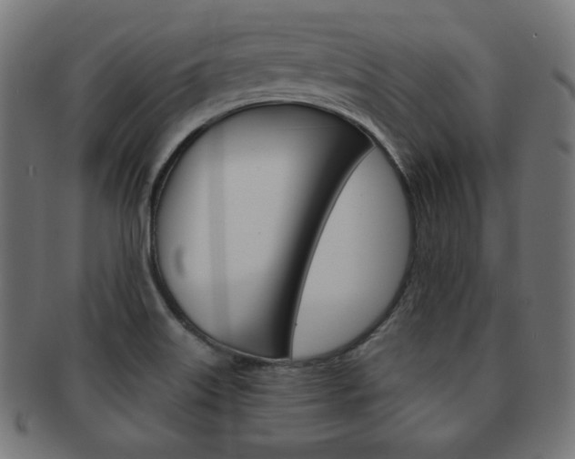 X0000092011515200709061258