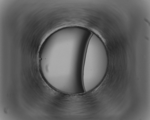 X0000092011516200709061258
