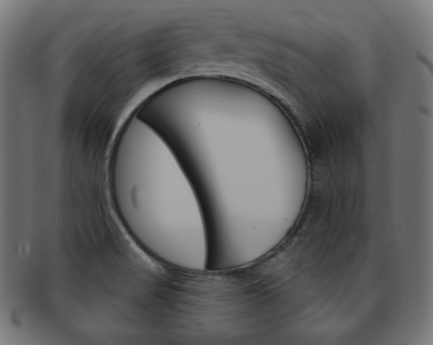 X0000092011517200709061258