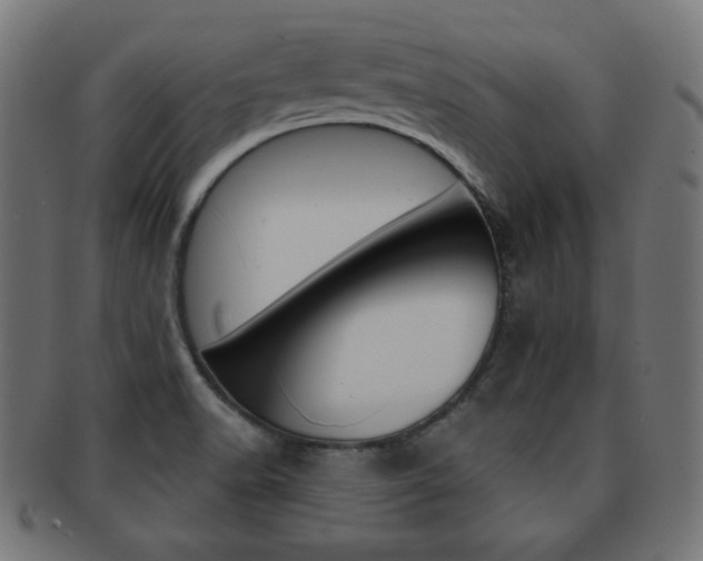 X0000092011518200709061258