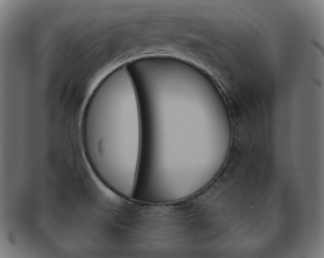 X0000092011519200709061258