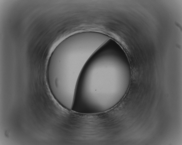 X0000092011520200709061258