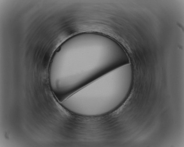 X0000092011521200709061258