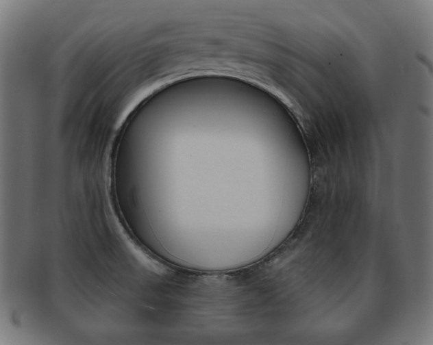 X0000092011523200709061258
