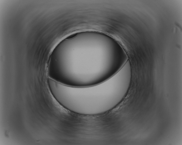 X0000092011524200709061258