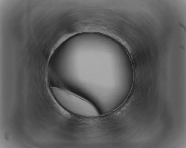 X0000092011525200709061258