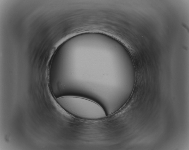 X0000092011526200709061258