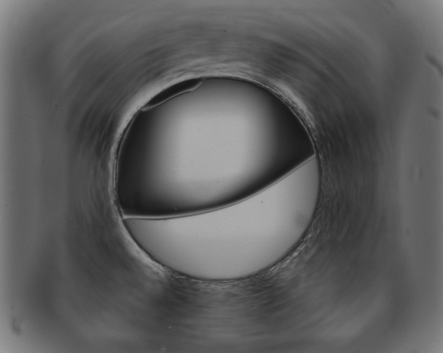 X0000092011528200709061258
