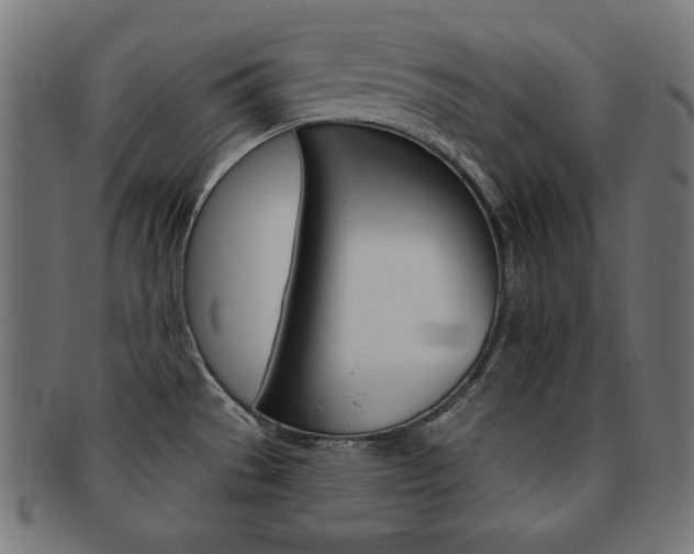 X0000092011529200709061258