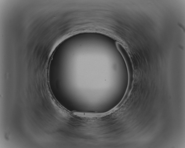 X0000092011530200709061258