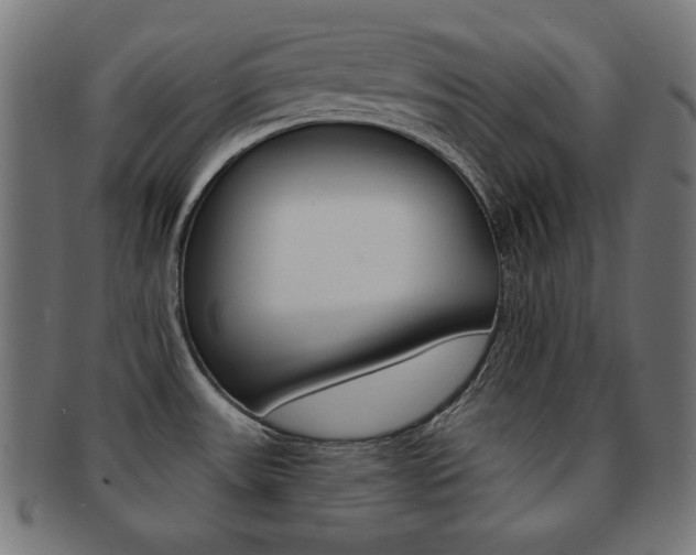 X0000092011531200709061258