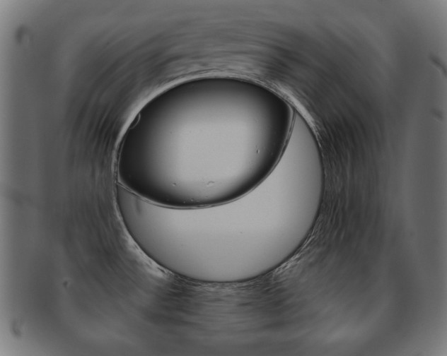 X0000092011532200709061258