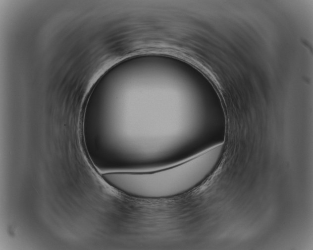 X0000092011533200709061258