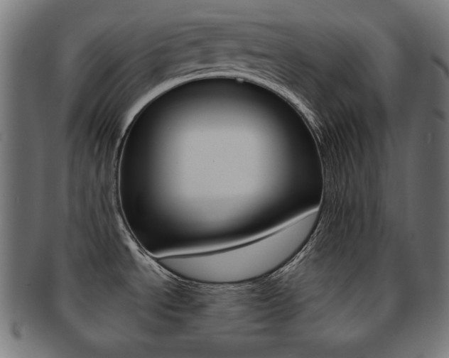 X0000092011534200709061258